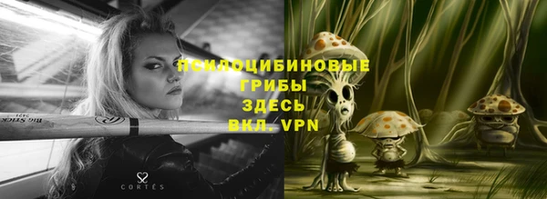 прущая мука Алексин