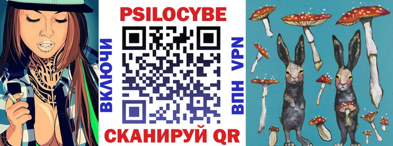 Псилоцибиновые грибы MAGIC MUSHROOMS  где купить наркоту  Краснокамск 