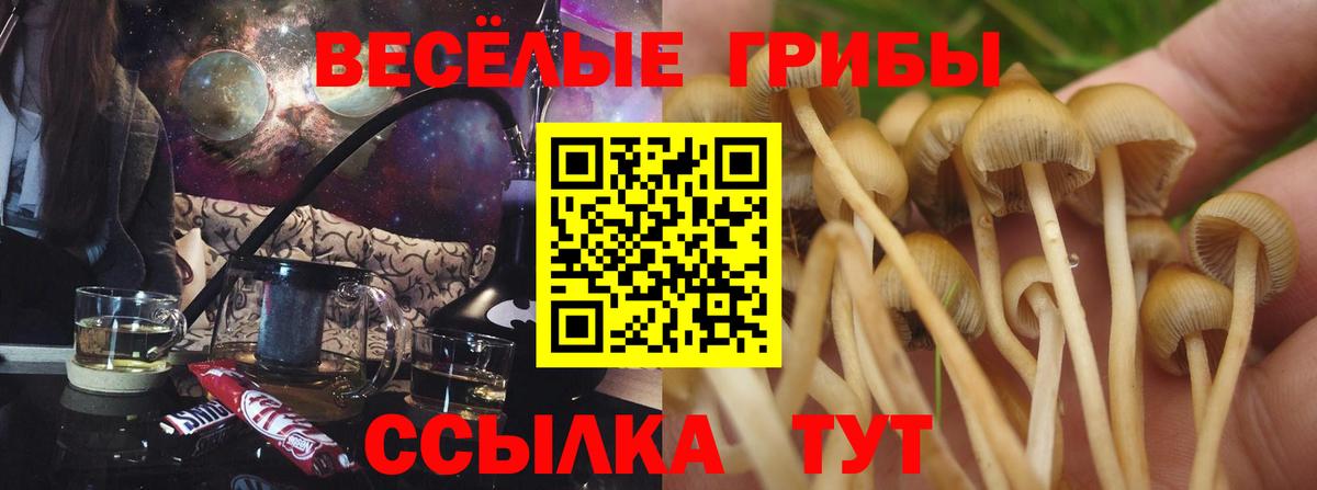 Галлюциногенные грибы ЛСД Краснокамск
